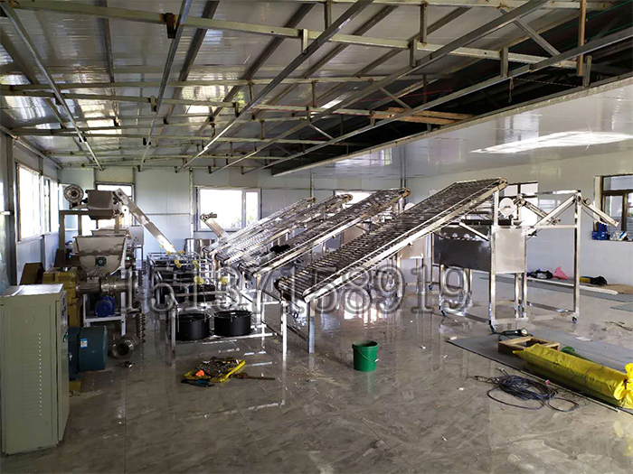 全自動米線機安裝現場 全自動米線機安裝現場